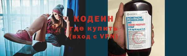 хмурый Михайловск