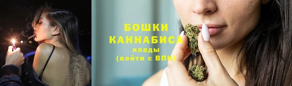 хмурый Михайловск