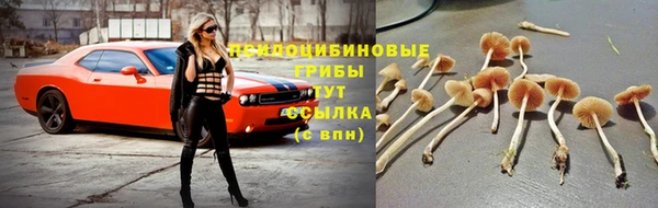 дживик Абдулино