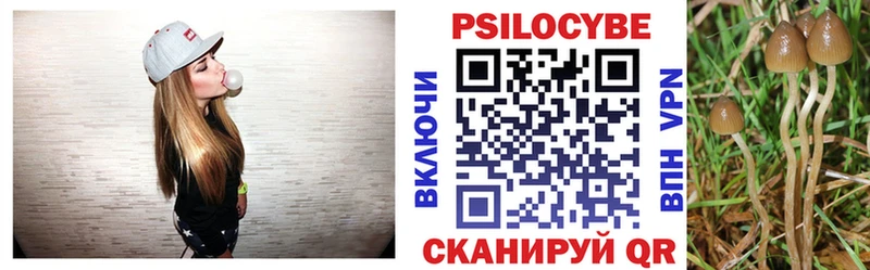 Галлюциногенные грибы GOLDEN TEACHER  где купить наркоту  blacksprut как войти  Вытегра 